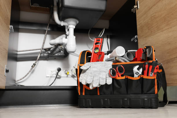 Best Best Plumbers Near Me  in Oronogo, MO